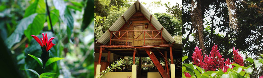 Hostal Don Mene