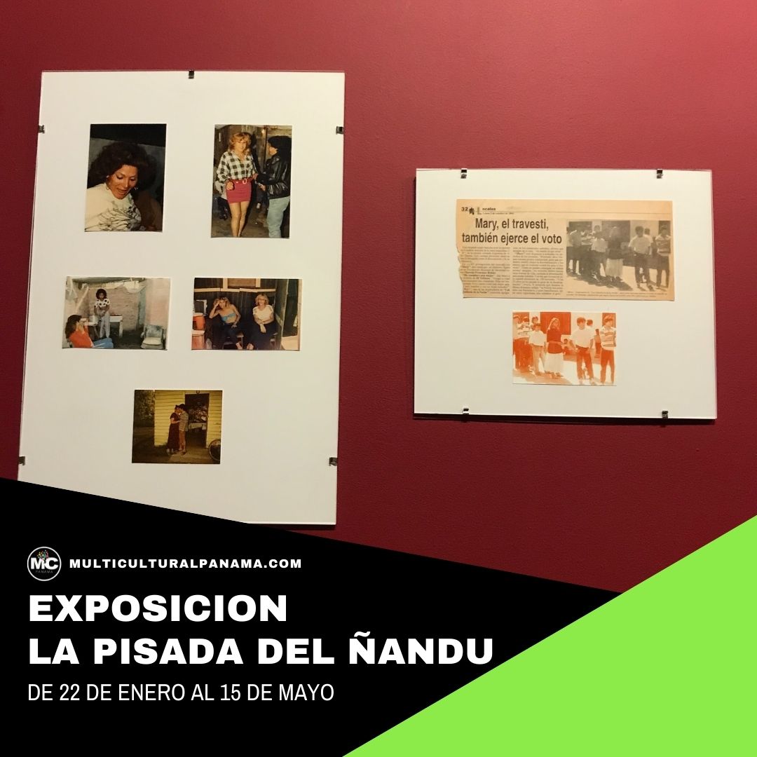 exposicion-la-pisada-del-nandu-