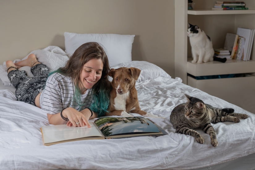 como-elegir-la-mascota-perfecta-para-tu-hogar